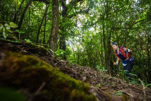 BIB: 
                            <button type="button" onclick="openModal(16008388)" class="btn btn-primary btn-sm float-right btn-popup" data-toggle="modal" data-target=".modal-high-quality">
                        <i class="fas fa-shopping-cart"></i> Add to Cart
                    </button>
                                            <button type="button" onclick="isThisMe(16008388, true)" class="btn btn-success btn-sm float-right btn-popup btn-isme hidden" data-toggle="tooltip" data-placement="bottom" title="นี่คือรูปของคุณใช่ไหม คลิกที่นี่เพื่อเอาเข้าอัลบั้ม">
                        <i class="fas fa-plus"></i> Add to album
                    </button>
                    <button type="button" onclick="isThisMe(16008388, false)" class="btn btn-warning btn-sm float-right btn-popup btn-isnotme hidden">
                        <i class="fas fa-ban"></i> Remove from album
                    </button>